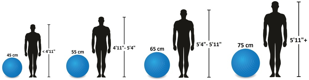 65cm exercise ball height