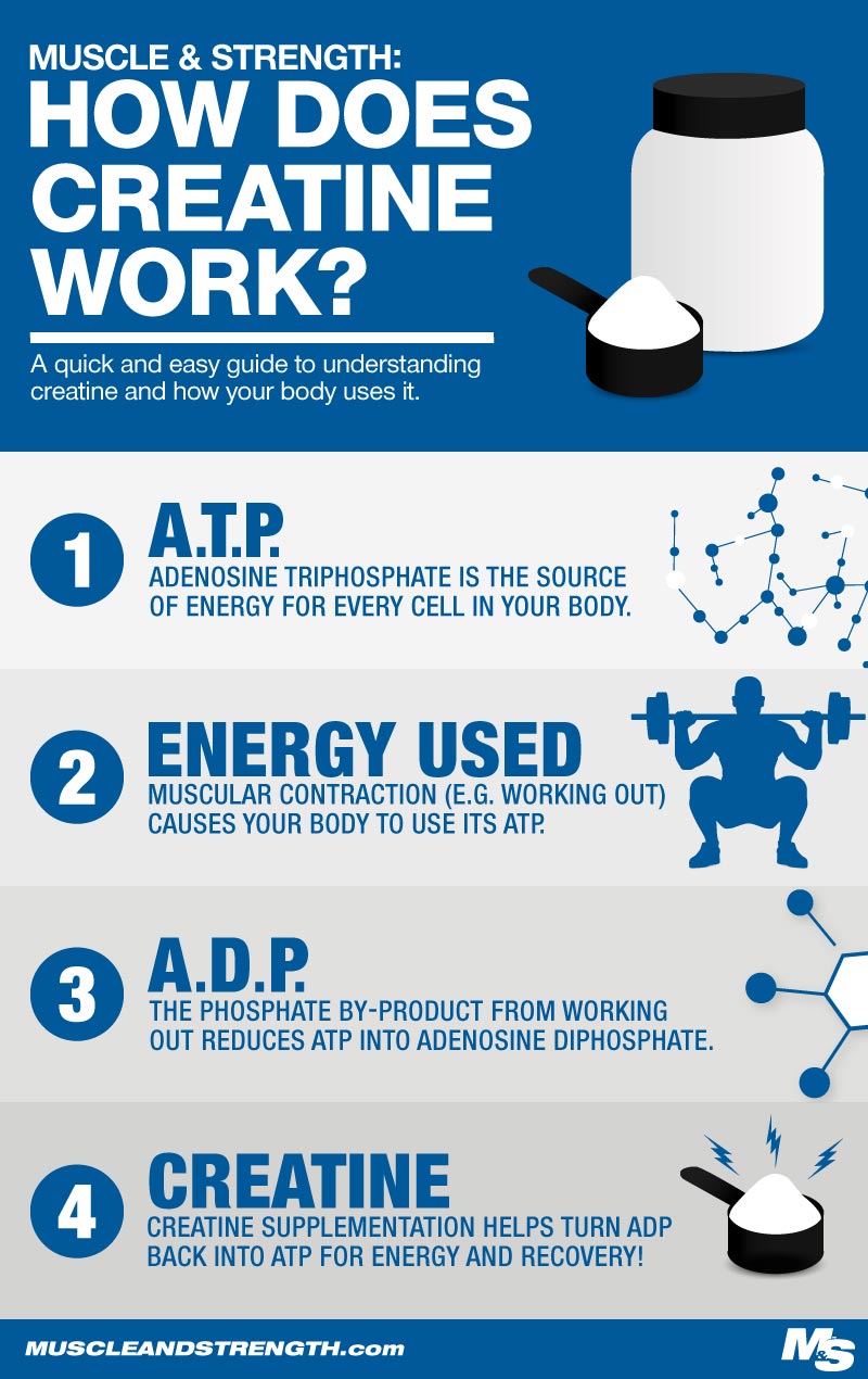 how many litres of water should i drink a day on creatine