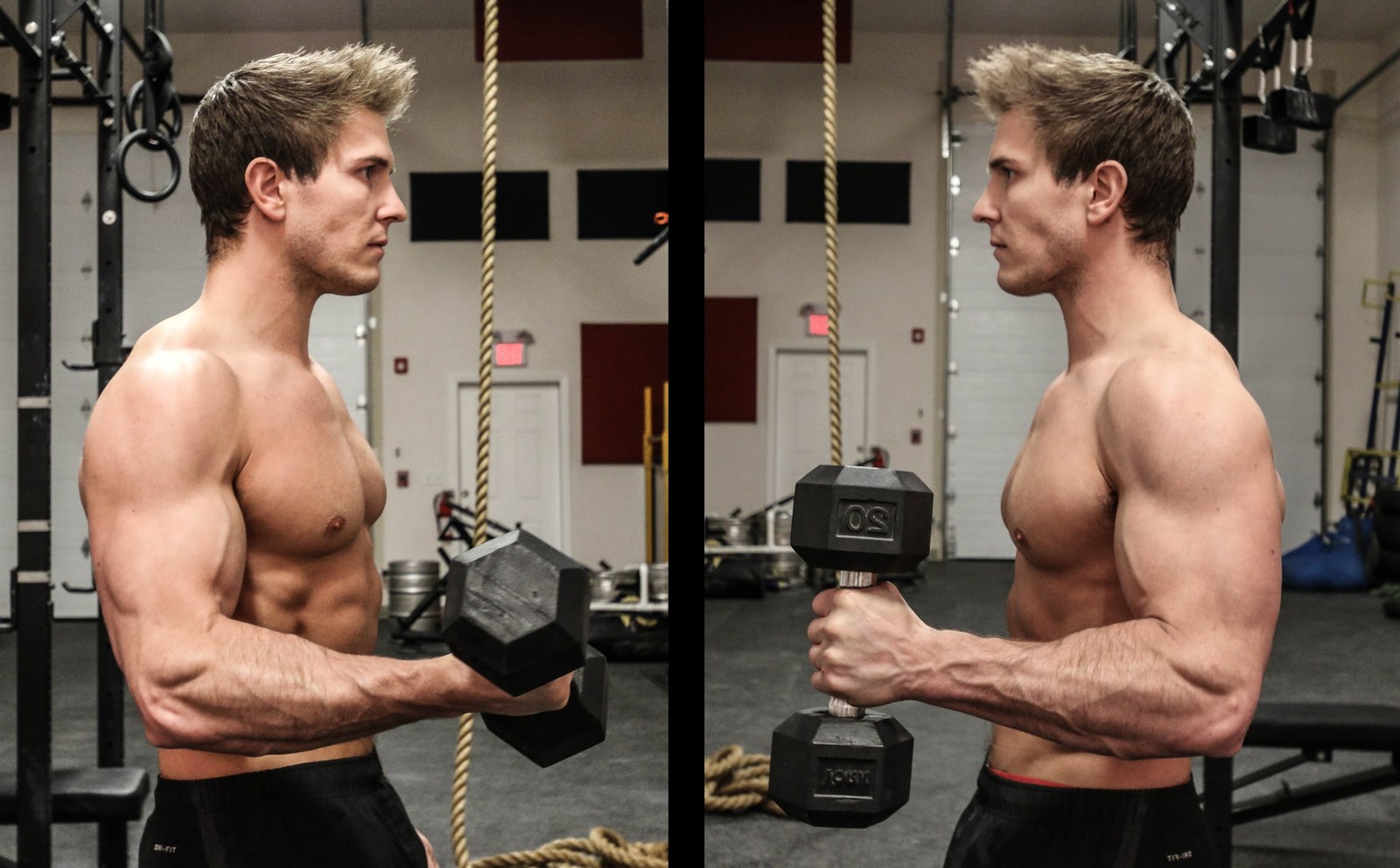 frø labyrint Danmark Hammer Curls vs Bicep Curls: Is One Better Than The Other?