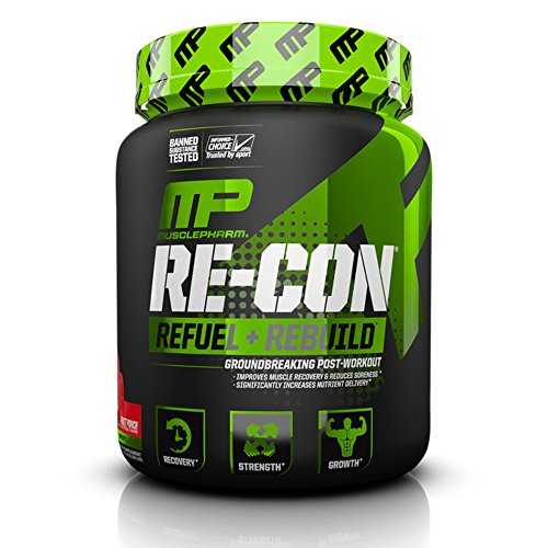 The Best Recovery Supplement for Muscle Building
