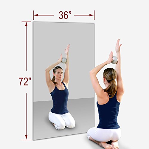 The Best Gym Mirrors For Your Money The Best Gym Mirrors in 2021